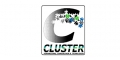 Cluster srl