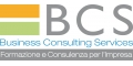 Business Consulting Services Srl