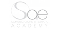 Sae Academy